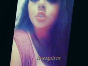 Rosegal101