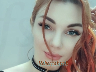 Rebeccabirch