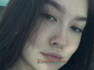 Reneblossom