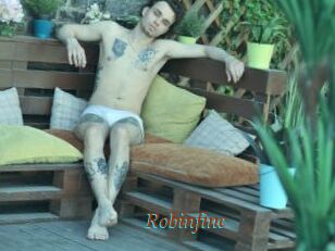 Robinfinc