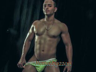 Romeobig22cm