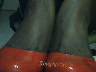 Rougegorge
