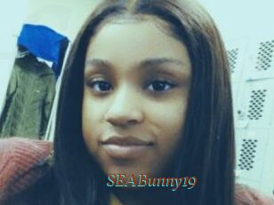 SEABunny19