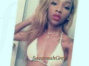 Savannah_Grey
