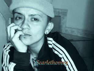 Scarlethomeg