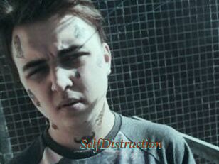 SelfDistruction