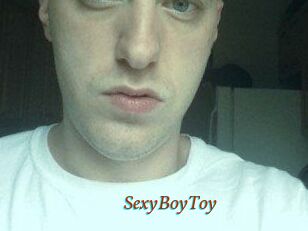 SexyBoyToy