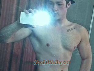 ShyLittleBoy20