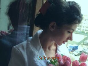 Silkworm