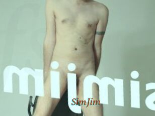 SimJim
