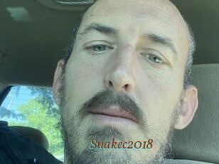 Snakec2018