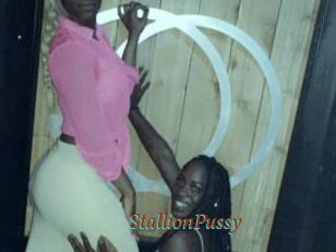 StallionPussy