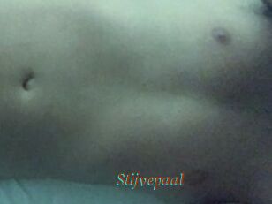 Stijvepaal