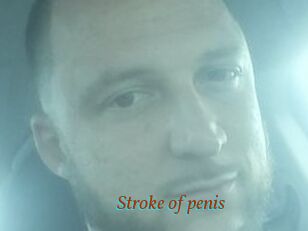 Stroke_of_penis