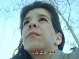 Sandra300