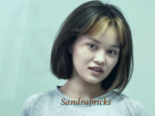 Sandrabricks