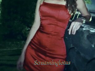 Screaminglotus
