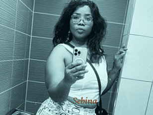 Sebina
