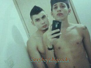 Sexyboysbigcocks