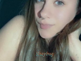 Shaybug