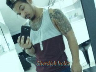 Sherdick_holes