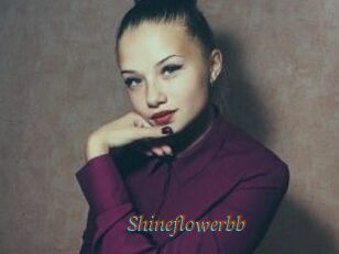 Shineflowerbb