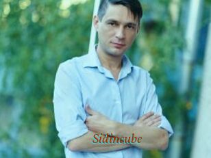Sid_incube