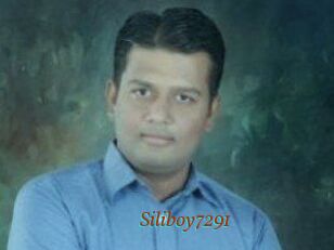 Siliboy7291