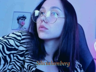 Silicialumberg