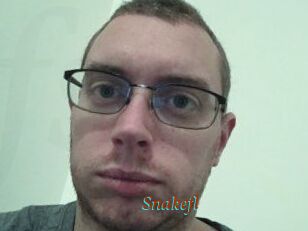 Snakefl