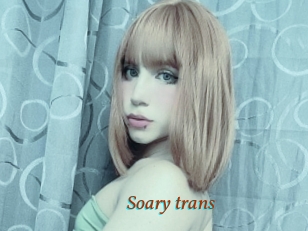 Soary_trans