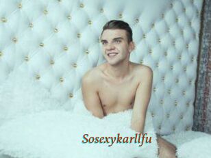 Sosexykarllfu