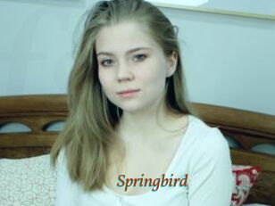 Springbird
