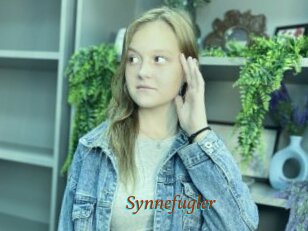 Synnefugler