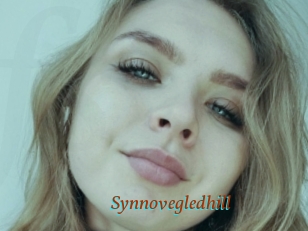 Synnovegledhill