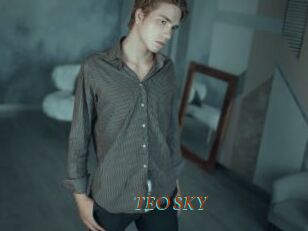 TEO_SKY