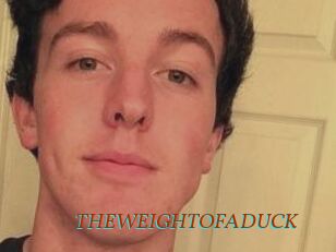 THEWEIGHTOFADUCK