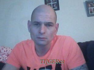 TIJGER01