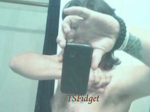TSFidget