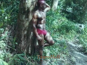 Tauro_Hott