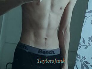 TaylorsJunk