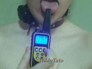 TeddyTato