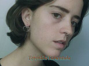 TerentilaTarantula