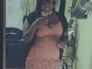 TheBigFine304
