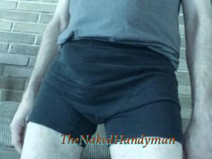 TheNakedHandyman