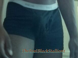 TheRealBlackStallion1