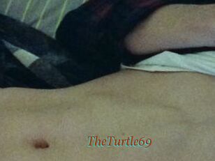 TheTurtle69