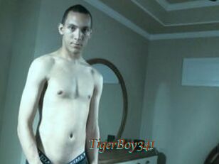 TigerBoy341