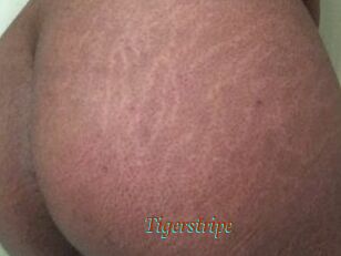 Tigerstripe