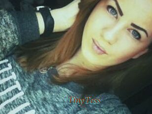 TinyTess